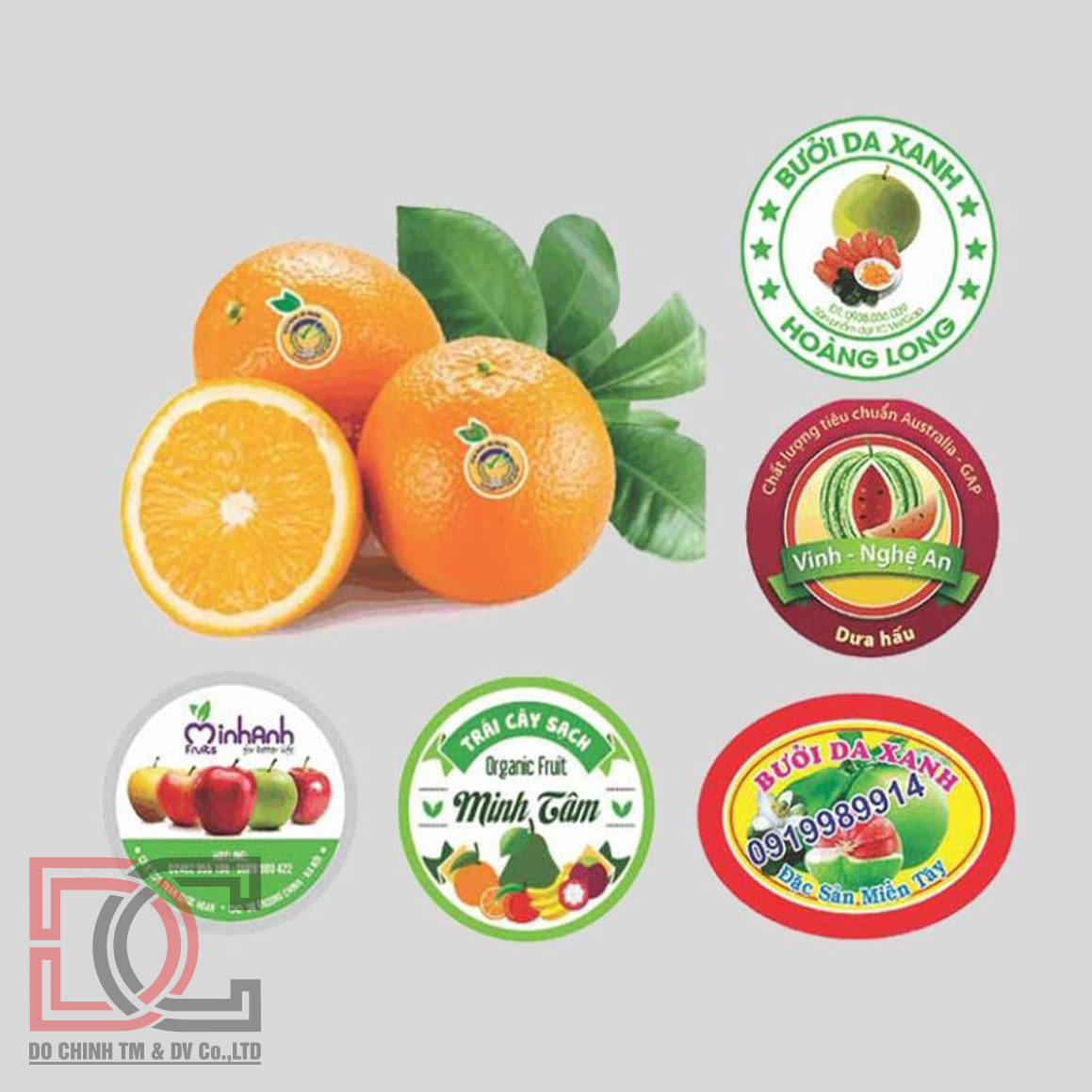 tem-dan-trai-cay In tem dán trái cây - Ảnh 1